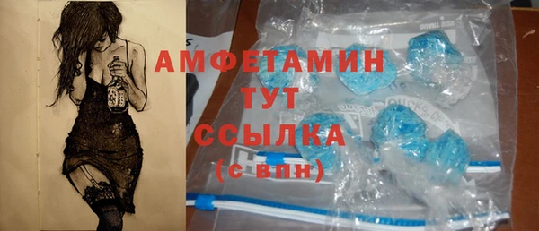 ГАЛЛЮЦИНОГЕННЫЕ ГРИБЫ Алзамай