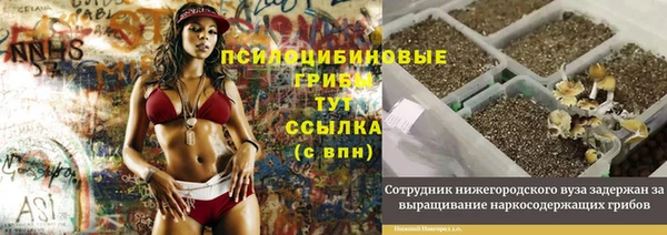 ГАЛЛЮЦИНОГЕННЫЕ ГРИБЫ Алзамай